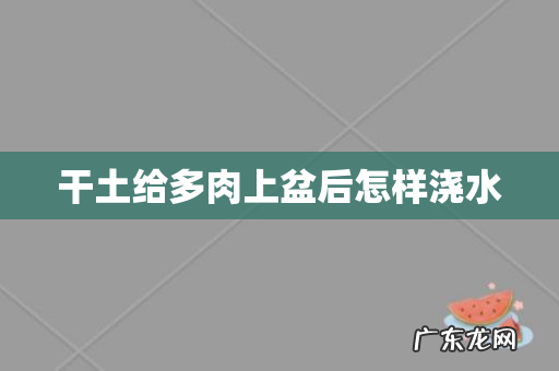 干土给多肉上盆后怎样浇水