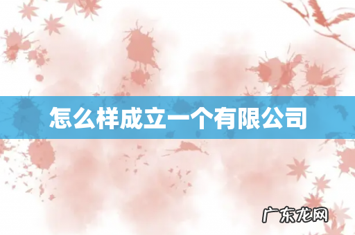 怎么样成立一个有限公司