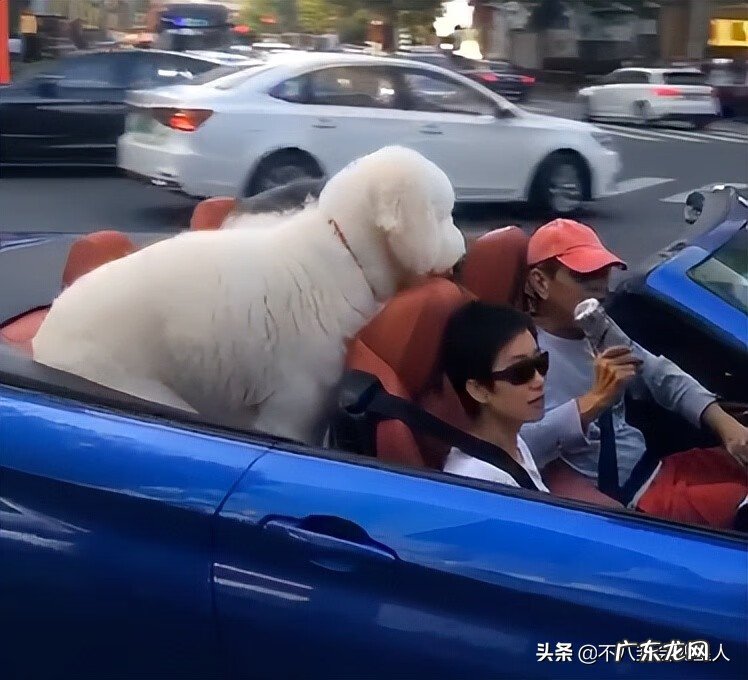 霍炳龙风水 龚梓林风水水平怎么样