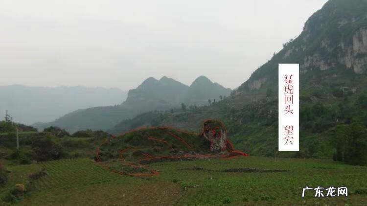 风水著名案例 中国风水案例