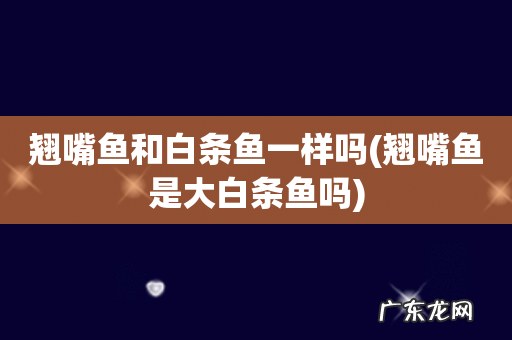 翘嘴鱼是大白条鱼吗 翘嘴鱼和白条鱼一样吗