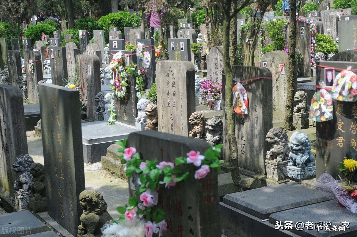 怎么形容荒山野岭 坟头枯树风水