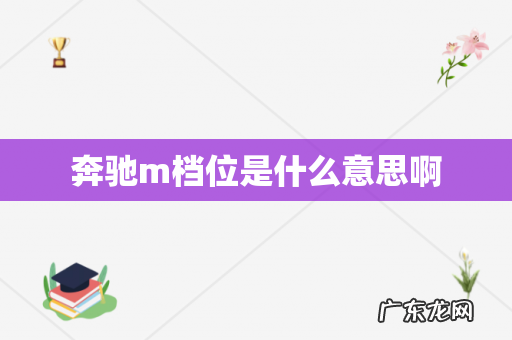 奔驰m档位是什么意思啊