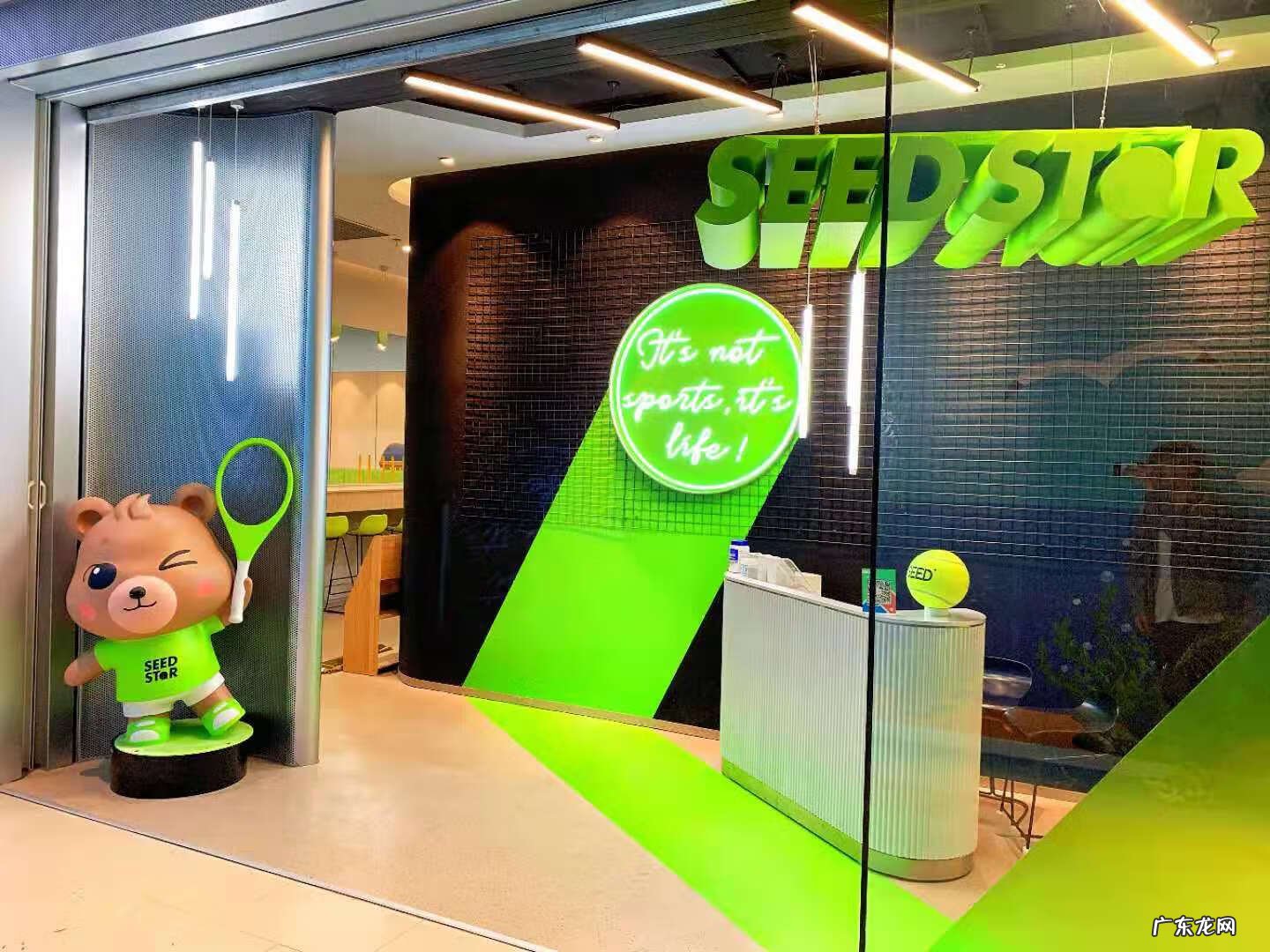 上海学网球的地方推荐 上海网球培训学校