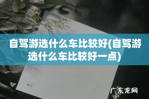 自驾游选什么车比较好一点 自驾游选什么车比较好