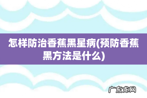 预防香蕉黑方法是什么 怎样防治香蕉黑星病