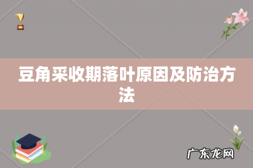 豆角采收期落叶原因及防治方法
