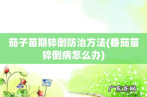 番茄苗猝倒病怎么办 茄子苗期猝倒防治方法