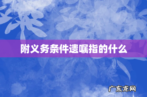 附义务条件遗嘱指的什么