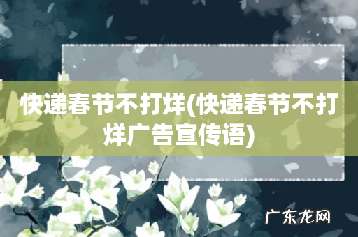 快递春节不打烊广告宣传语 快递春节不打烊