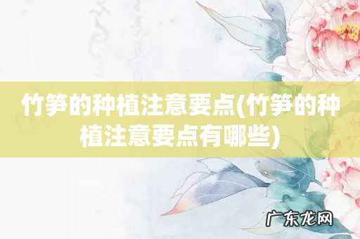 竹笋的种植注意要点有哪些 竹笋的种植注意要点