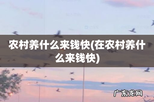 在农村养什么来钱快 农村养什么来钱快