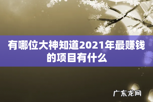 有哪位大神知道2021年最赚钱的项目有什么