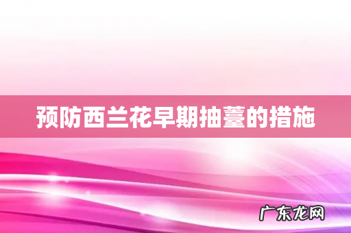 预防西兰花早期抽薹的措施