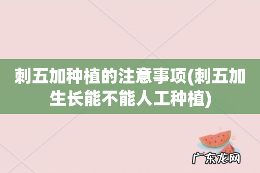 刺五加生长能不能人工种植 刺五加种植的注意事项