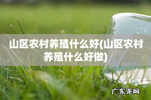 山区农村养殖什么好做 山区农村养殖什么好