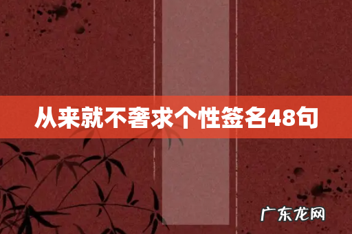 从来就不奢求个性签名48句