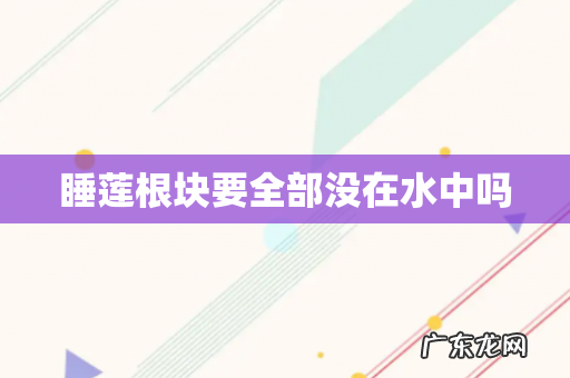 睡莲根块要全部没在水中吗