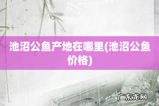 池沼公鱼价格 池沼公鱼产地在哪里