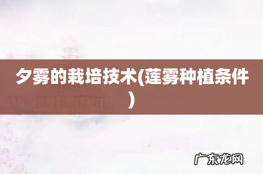 莲雾种植条件 夕雾的栽培技术