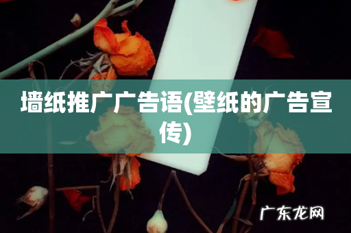 壁纸的广告宣传 墙纸推广广告语