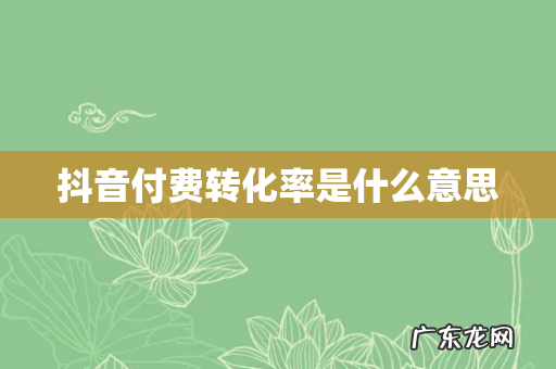 抖音付费转化率是什么意思