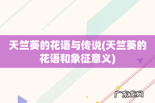 天竺葵的花语和象征意义 天竺葵的花语与传说