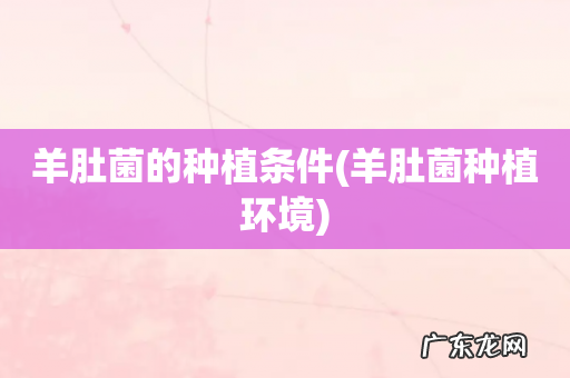 羊肚菌种植环境 羊肚菌的种植条件