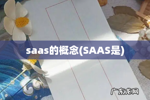 SAAS是 saas的概念