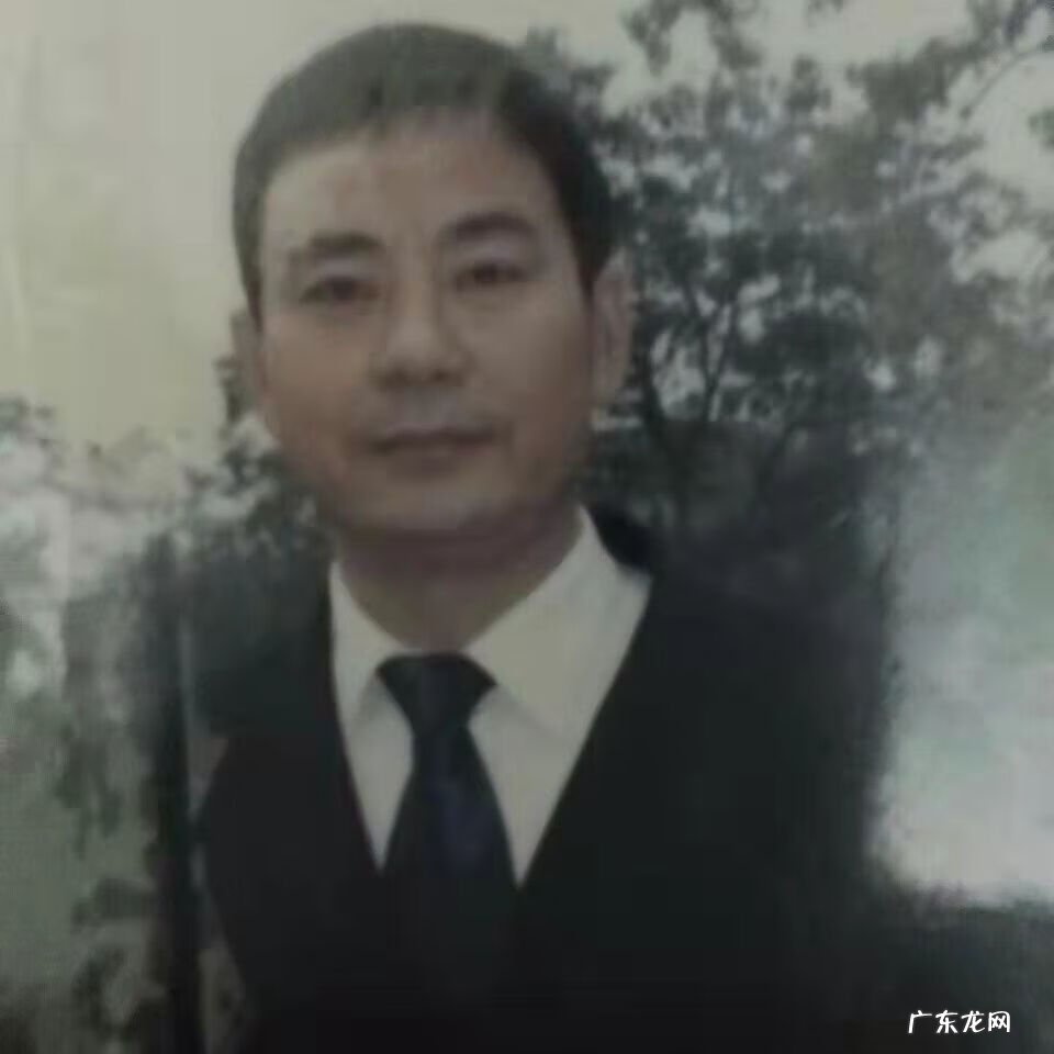 松柏树叶子煮水喝功效 松柏树的风水作用