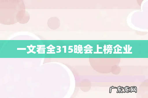 一文看全315晚会上榜企业