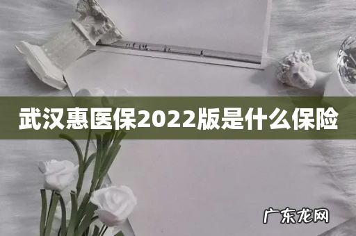 武汉惠医保2022版是什么保险