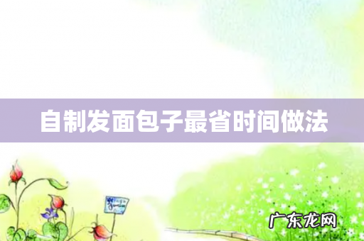 自制发面包子最省时间做法