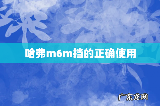 哈弗m6m挡的正确使用