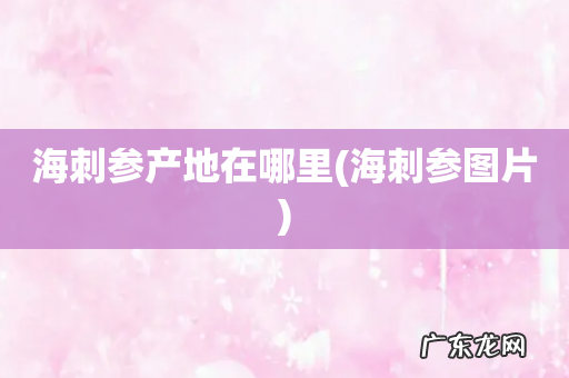 海刺参图片 海刺参产地在哪里