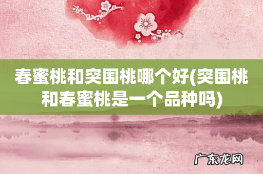 突围桃和春蜜桃是一个品种吗 春蜜桃和突围桃哪个好