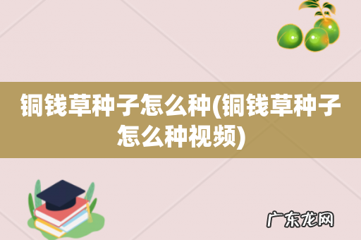 铜钱草种子怎么种视频 铜钱草种子怎么种