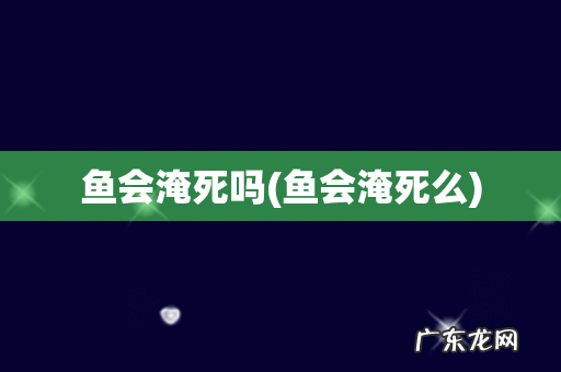 鱼会淹死么 鱼会淹死吗