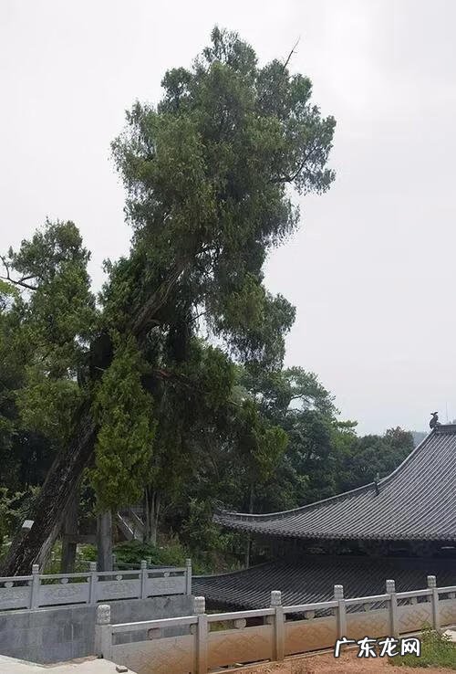 广西风水故事传说 民间传说龚家风水故事