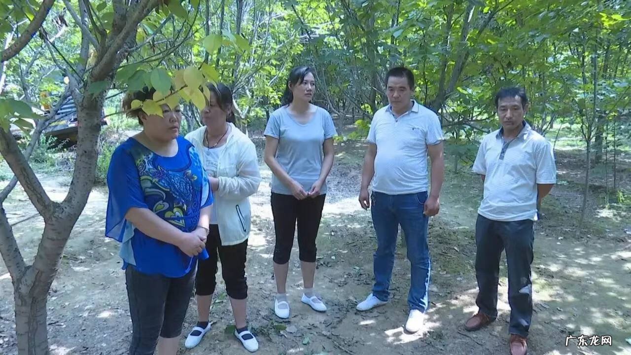 小区靠近公墓风水如何 公墓林风水能调吗