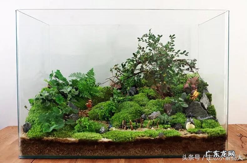 不用的鱼缸怎么处理才不影响财运 不用的鱼缸怎么处理不影响风水