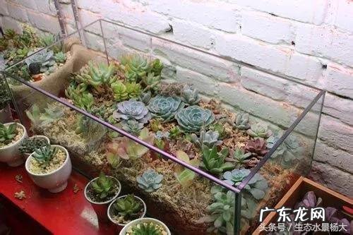 不用的鱼缸怎么处理才不影响财运 不用的鱼缸怎么处理不影响风水