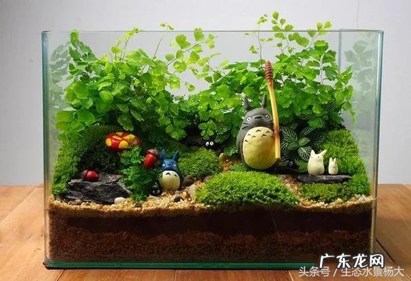 不用的鱼缸怎么处理才不影响财运 不用的鱼缸怎么处理不影响风水