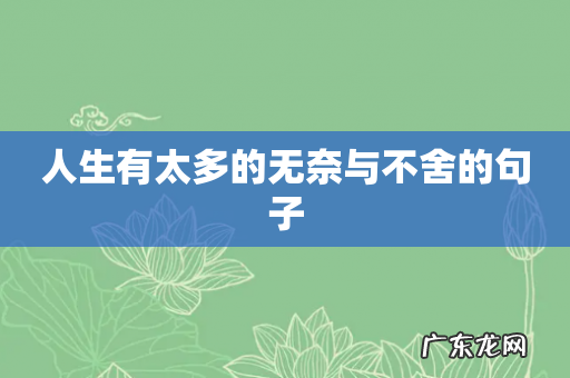 人生有太多的无奈与不舍的句子