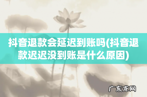 抖音退款迟迟没到账是什么原因 抖音退款会延迟到账吗