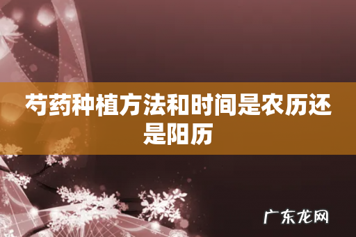 芍药种植方法和时间是农历还是阳历