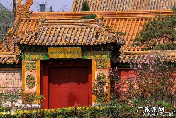 店铺门应该怎么开风水好 门从哪边开风水好