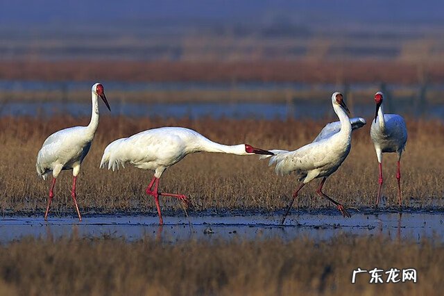 风水前山比后山高 后山大金盖风水