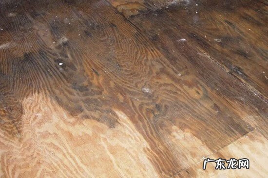 地板泡水干了以后会怎么样 地板泡水后有什么危害