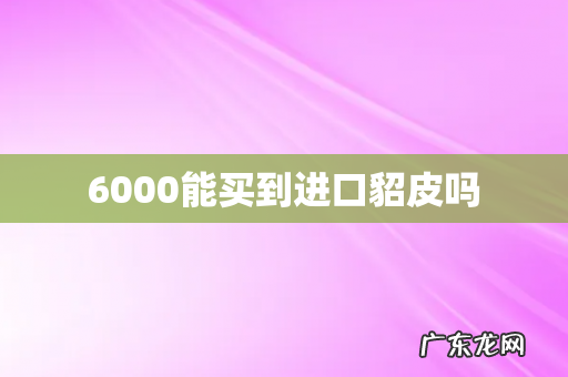 6000能买到进口貂皮吗